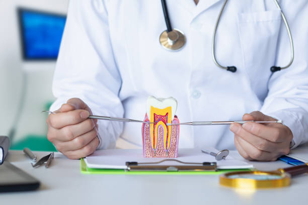 Best Emergency Tooth Extraction in Victor, ID